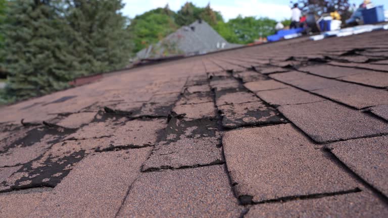 Best Roof Installation  in Cutlerville, MI