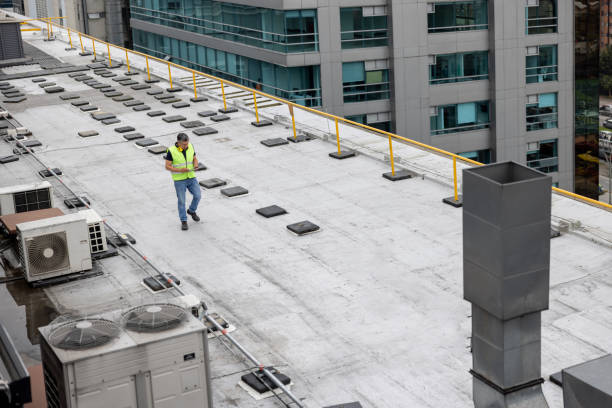 Best Storm Damage Roof Repair  in Cutlerville, MI