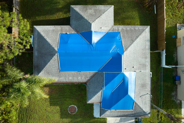 Best Roof Insulation Installation  in Cutlerville, MI
