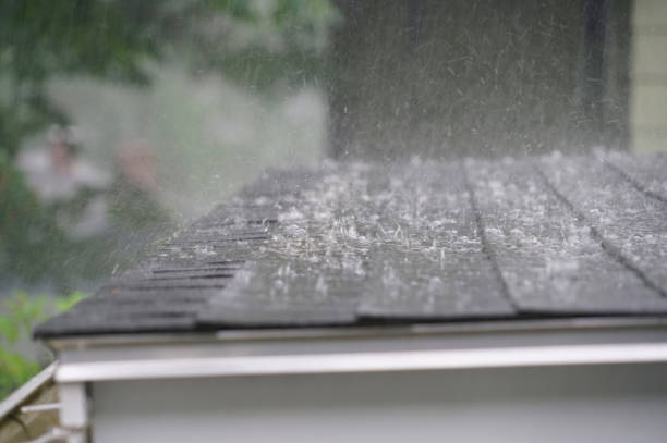 Best Chimney Flashing Repair  in Cutlerville, MI