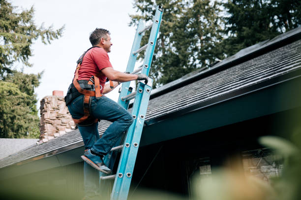 Best Rubber Roofing (EPDM, TPO)  in Cutlerville, MI